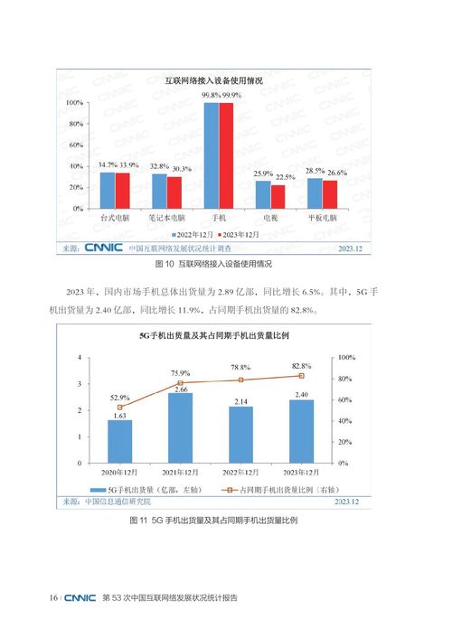 網絡與信息安全軟件開發 中國互聯網絡發展的堅實保障——基于CNNIC第53次統計報告的解讀