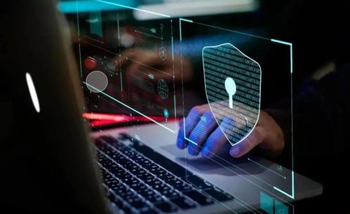 軟件安全 漏洞利用與滲透測試全流程剖析